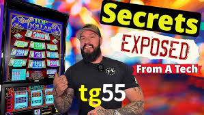 tg55 App Interface