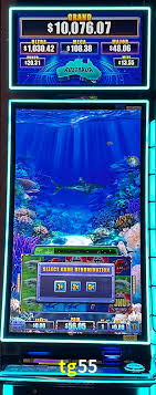 Live Casino tg55